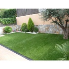 Semente De Grama Bermuda Fina Kit Com 48g Pronto P/ Plantio