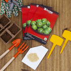 Semente de Jilo Redondo Morro Grande 5g Feltrin