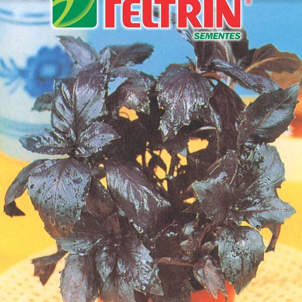 Semente De Manjericão Roxo Feltrin 100 Mg