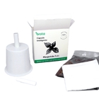 Semente de Manjericão Rubi para Solo Inteligente