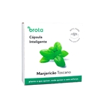 Semente de Manjericão Toscano para Solo Inteligente