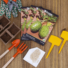 Semente de Maxixe do Norte 4g Feltrin