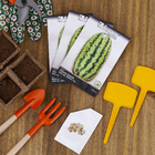 Semente de Melancia Fairfax 1g Feltrin