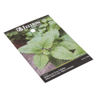 Semente de Melissa Erva Cidreira Feltrin