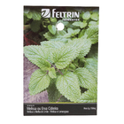 Semente de Melissa Erva Cidreira Feltrin