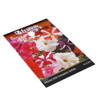 Semente de Petunia Ana Compacta 80mg Feltrin