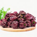 Semente De Pimenta Habanero Chocolate Blueline Topseed