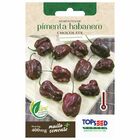 Semente De Pimenta Habanero Chocolate Topseed