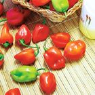 Semente De Pimenta Habanero Red Blueline Topseed