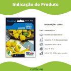 Semente De Pimenta Jamaican Yellow Blueline Topseed