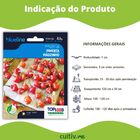 Semente De Pimenta Piãozinho Blueline Topseed