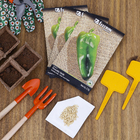 Semente de Pimentao Casca Dura Ikeda 2,5g Feltrin