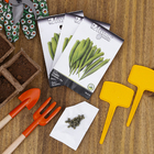 Semente de Quiabo Santa Cruz 2g Feltrin