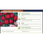 Semente De Rabanete Híbrido Rubro F1 Env. C/ 5.000 Sementes