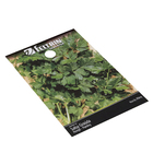 Semente de Salsa Grauda 900mg Feltrin