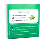 Semente de Salsa Hortense para Solo Inteligente