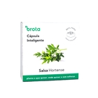 Semente de Salsa Hortense para Solo Inteligente