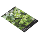 Semente de Salsa Lisa 900mg Feltrin