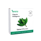 Semente de Sálvia Officinalis para Solo Inteligente