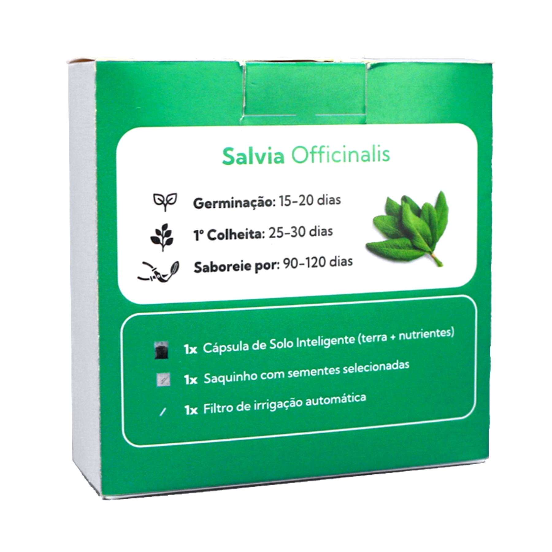 Semente de Sálvia Officinalis para Solo Inteligente | Leroy Merlin
