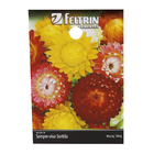 Semente de Sempre-Viva Dobrada Sortida 130mg Feltrin