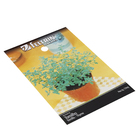 Semente de Tomilho 120mg Feltrin