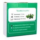 Semente de Tomilho Serpilho para Solo Inteligente