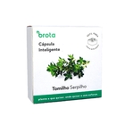 Semente de Tomilho Serpilho para Solo Inteligente