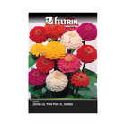 Semente de Zinia Lilliput Pom-Pom 290mg Feltrin
