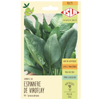 Semente Espinafre de Viroflay 3g