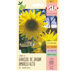 Semente Girassol Amarelo Alto 800mg