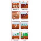 Semente Grama Bermuda (Folha Fina) Isla Sementes