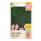 Semente Grama Bermuda Folha Fina 4g