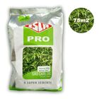 Semente Grama São Carlos (folha Larga) 500g Isla
