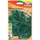 Semente Hissopo Alfazema de Cabloco Isla Sementes