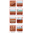 Semente Ipomea Purpúrea Sortida/Campainha Isla Sementes