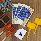 Semente Lobelia Erinus Isla Sementes