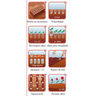 Semente Lobelia Erinus Isla Sementes