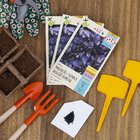 Semente Manjericão/Alfavaca Basilicão Vermelho Isla Sementes