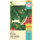 Semente Melissa 100mg