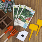 Semente Melissa/Erva Cidreira Isla Sementes