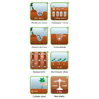 Semente Moranga de Mesa (Exposição) Isla Sementes