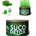 Semente Para Suco Detox Do Bem 295168844