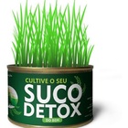 Semente Para Suco Detox Do Bem 295168844