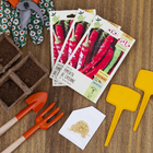 Semente Pimenta de Cayenne Isla Sementes