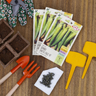 Semente Quiabo Santa Cruz 47 Isla Sementes