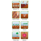 Semente Rabanete Cometa Isla Sementes