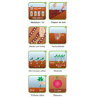 Semente Rabanete Sparkler Isla Sementes