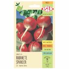 Semente Rabanete Sparkler Isla Sementes