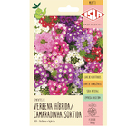 Semente Verbena Híbrida 100mg